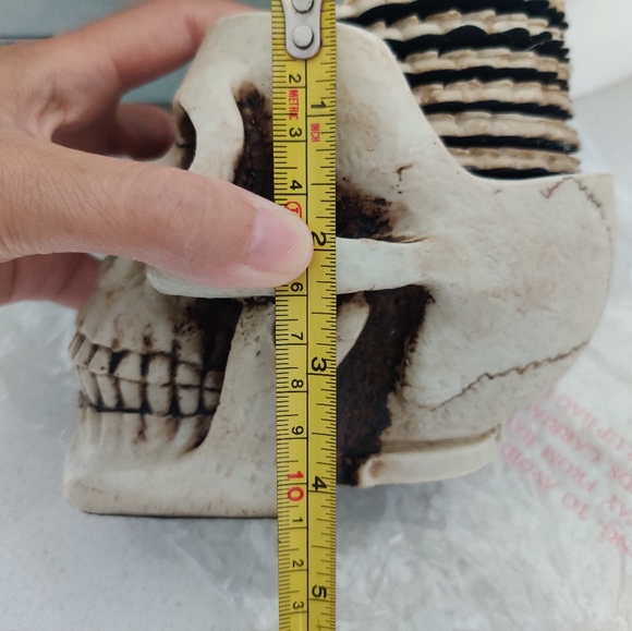 Skull Coasters (Set of 6) - Picture 5 of 5